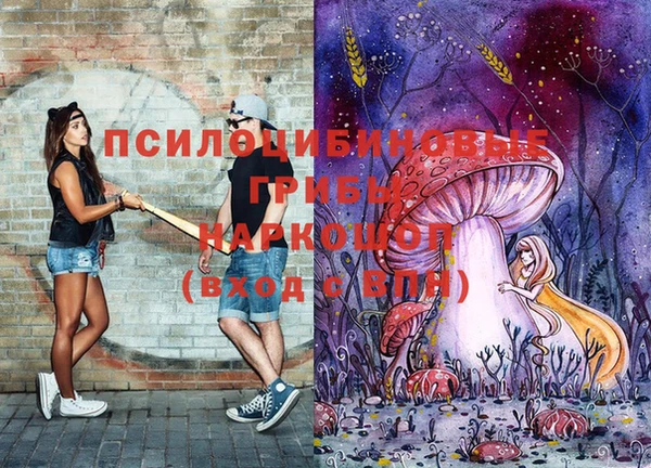 СК Алексеевка